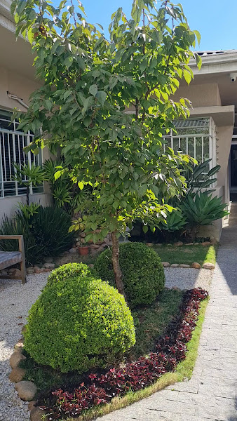 Foto 4 de Suzuki Odontologia | Dentista I Clínica Odontológica