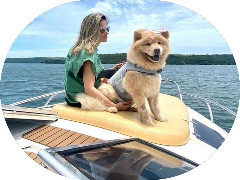 Foto 5 de T Clinic Odontologia- Dra Taiza Ferreira