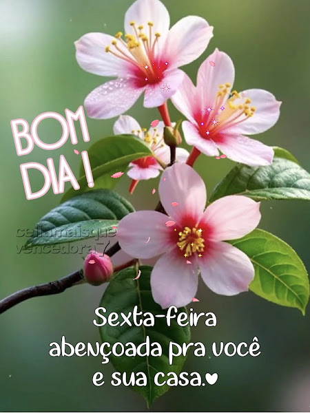 Foto 4 de Tatuapé Sorriso Clínica Odontológica, Referência Lentes de Resina/Porcelana, Dentista Tatuapé