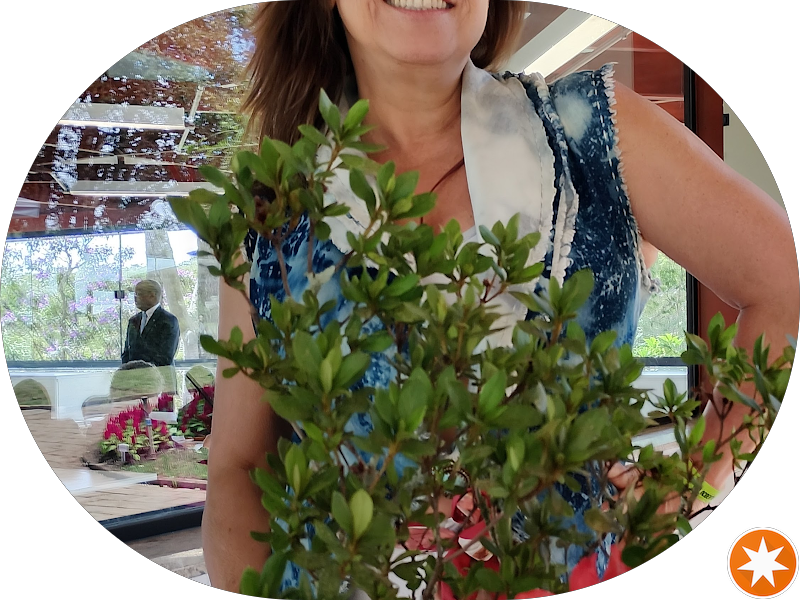 Foto 2 de Tessler Odontologia Campo Belo