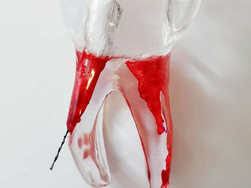 Foto de Thais Fernanda Pizzi - Cirurgiã - Dentista