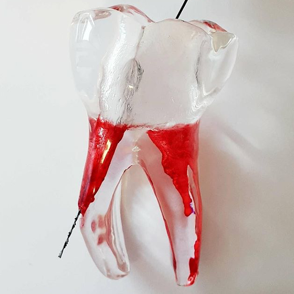 Foto 2 de Thais Fernanda Pizzi - Cirurgiã - Dentista