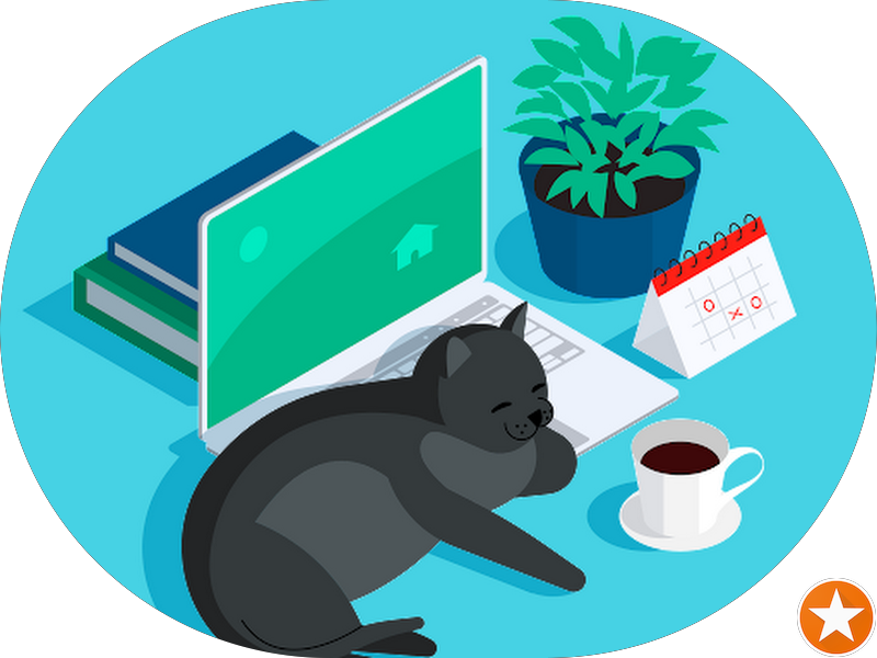 Foto 3 de Thais Ortodontia