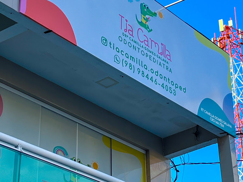 Foto 3 de Tia Camilla Odontopediatra