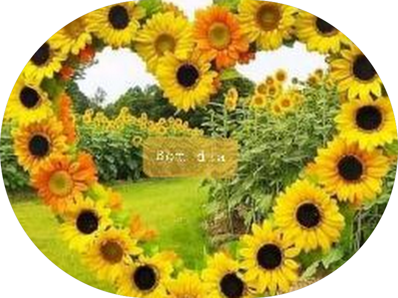 Foto 2 de Top Dente consultório odontológico