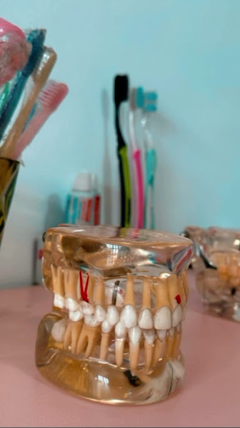 Foto 3 de Top - Dra. Daniele Drumond