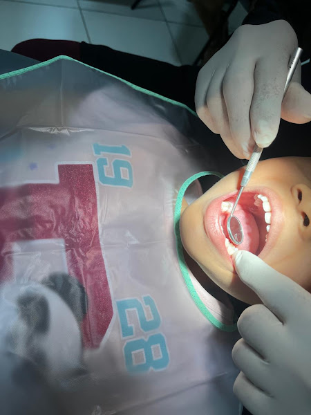 Foto 3 de Top Odonto