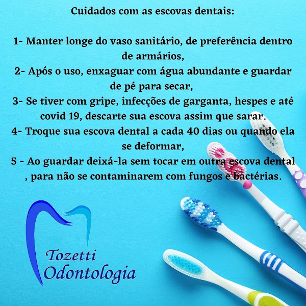 Foto 3 de Tozetti Odontologia