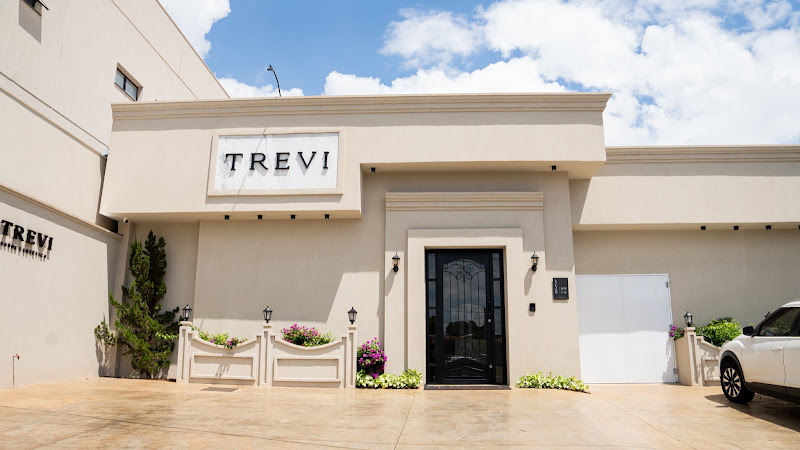 Foto 2 de Trevi Clínica