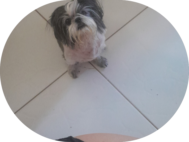 Foto 3 de UBS Ramiro de Azevedo