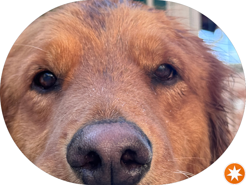 Foto 5 de Umanizza Clinic - dra Carolina Queiroz e dr Fábio Moura Leite