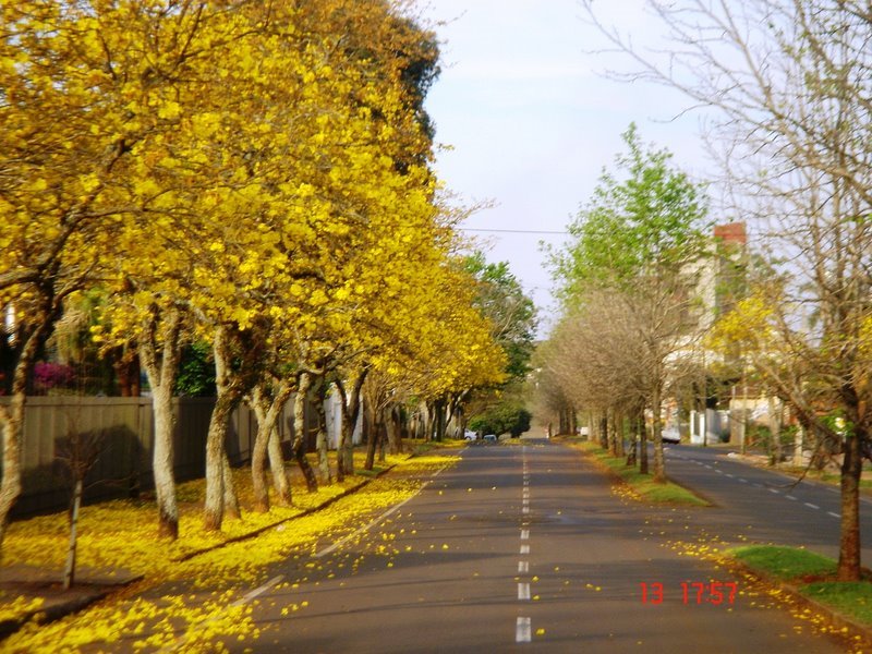 Foto 3 de Unique Medicina & Estética