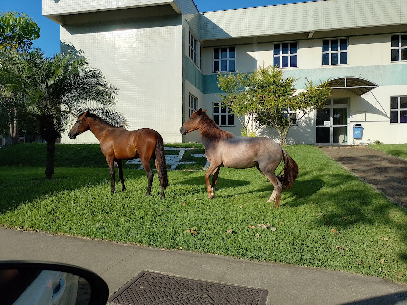 Foto 3 de Universidade Federal do Espírito Santo - UFES (Maruípe)
