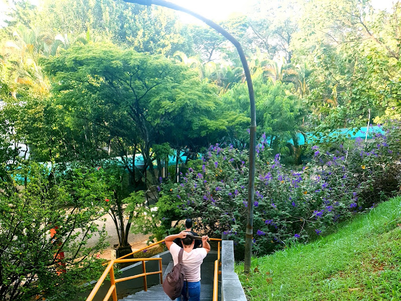 Foto 7 de UPA PIRITUBA