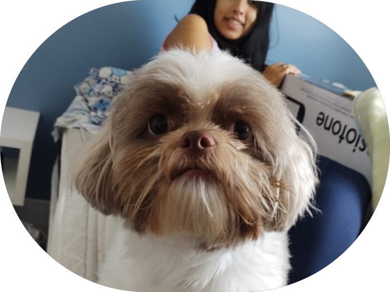 Foto 2 de Vale a pena sorrir