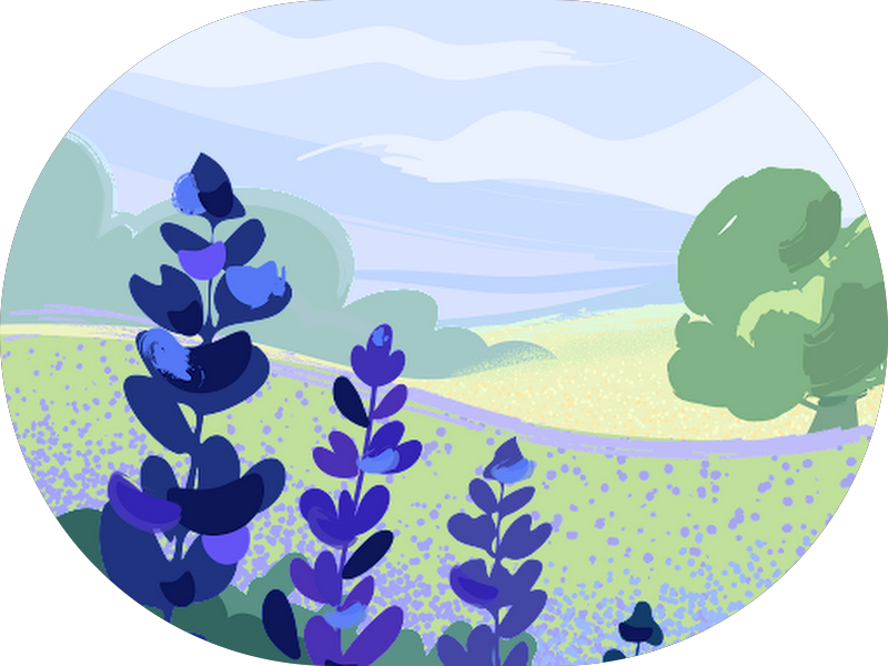 Foto 4 de Valney Dias Odontologia