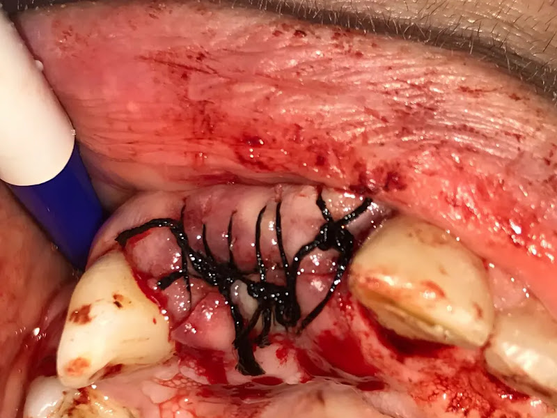 Foto 6 de Vamos Sorrir