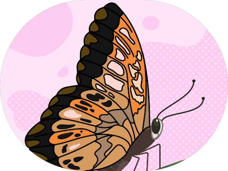 Foto 4 de Van Gogh Odontologia - Clínica odontológica