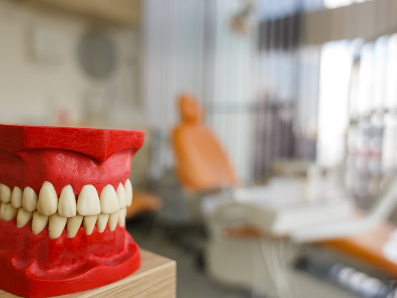 Foto 8 de Vargas Odontologia