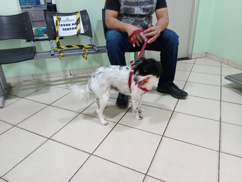Foto 2 de Vet Center Ribeirão das Neves