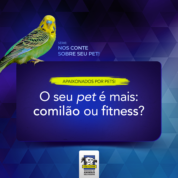 Foto 2 de Vida Livre