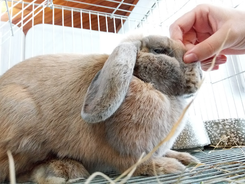 Foto 3 de Vida Livre