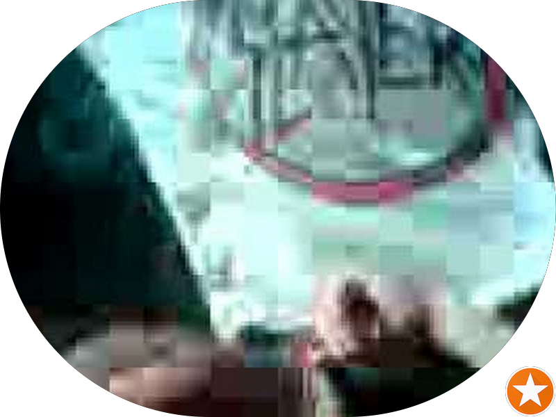 Foto 5 de Vieira Santos Odontologia - Itacorubi