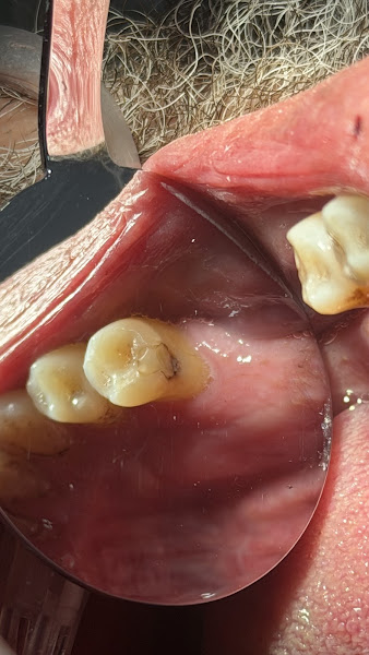 Foto 3 de VIG Odontologia | Dentista 24h Maringá