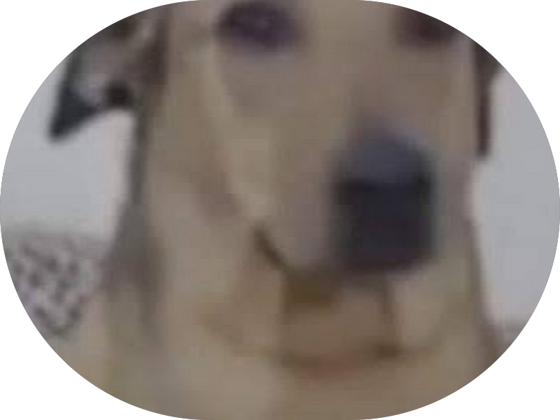 Foto 5 de Vitaclass Clínica | Dentista, odontopediatra, ortodontista, fonoaudióloga e psicóloga