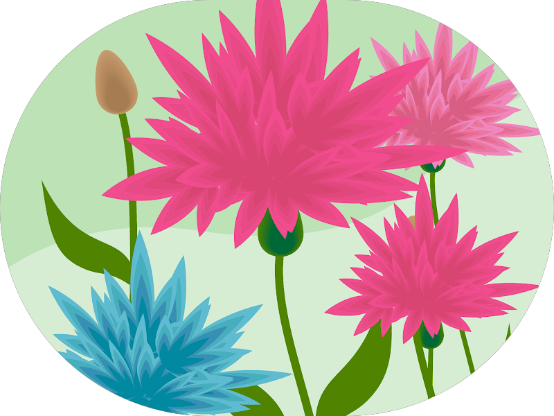 Foto 5 de Vital Dente