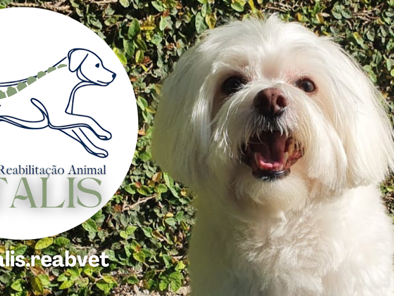 Foto de Vitalis Centro de Reabilitação Animal