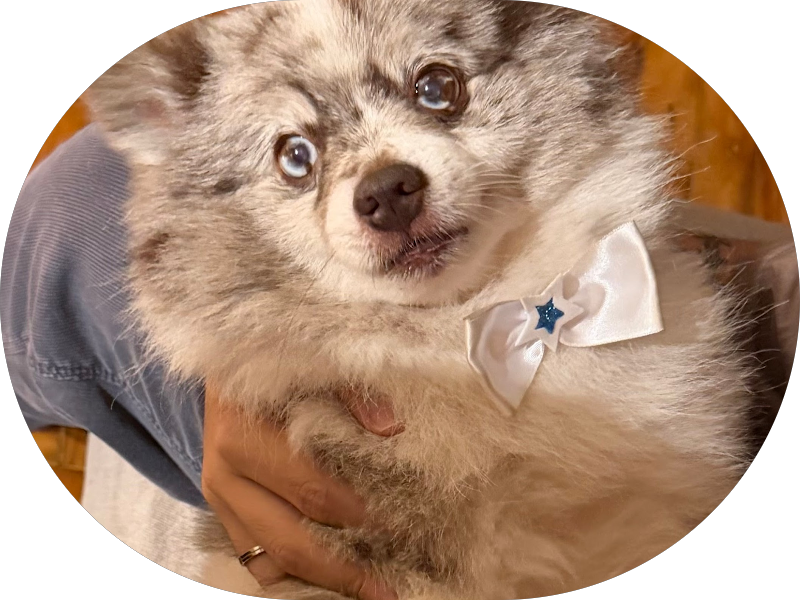 Foto 5 de VitaSpa Clinica Estetica e Odontologica Ltda