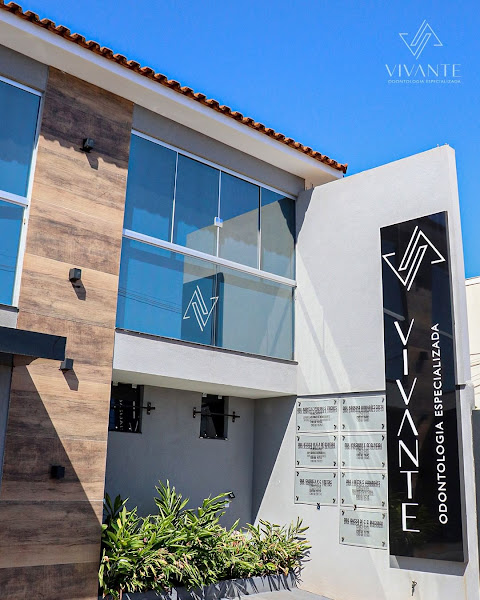 Foto 3 de Vivante odontologia