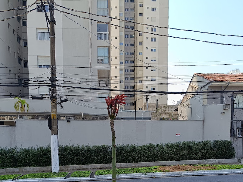 Foto 9 de Viver Odonto