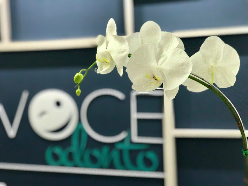 Foto 2 de Você Odonto