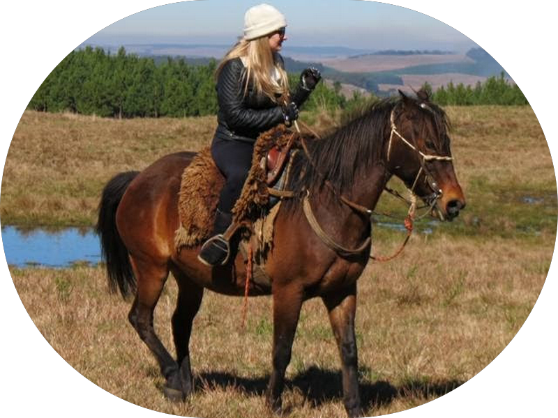 Foto 6 de Volte a Sorrir