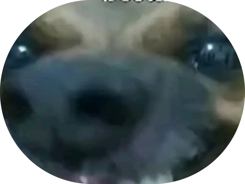 Foto 4 de VP Odonto | Dentista em Fortaleza