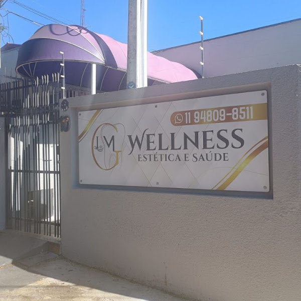 Foto 3 de Wellness Estética e Saúde
