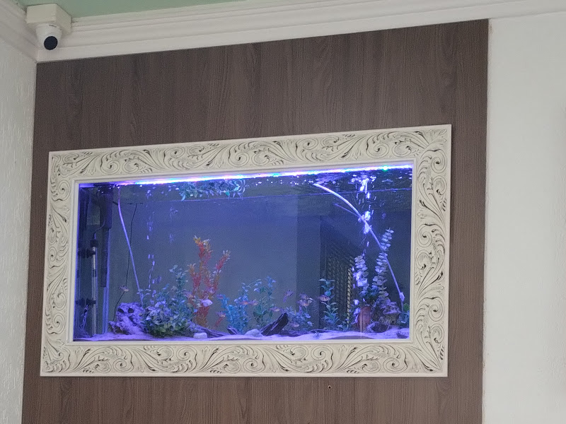 Foto 2 de WSC RADIOLOGIA ODONTOLÓGICA