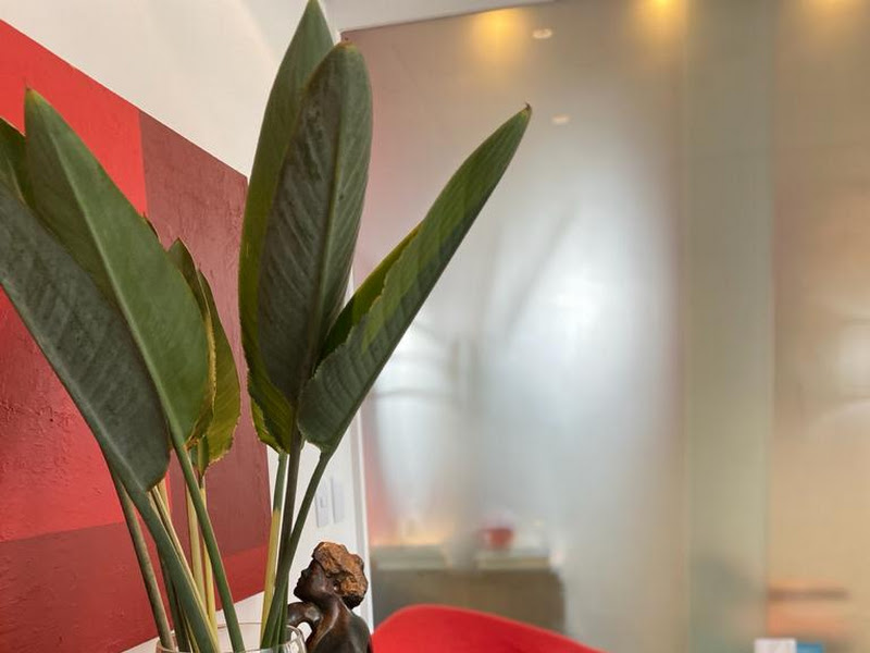 Foto 6 de YASUDA & CAIADO ODONTOLOGIA DIGITAL - DENTISTA HIGIENÓPOLIS - SANTA CECÍLIA