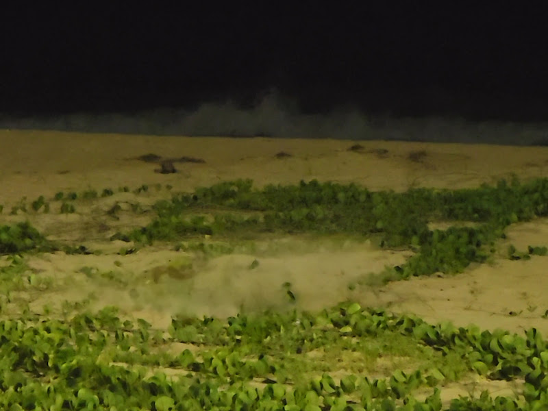 Foto 3 de You Clareamento Dental Manaíra | Dentista em João Pessoa PB