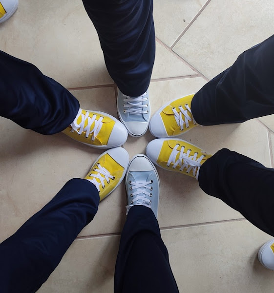 Foto 3 de Zahntechnik | Laboratório de Próteses Dentárias