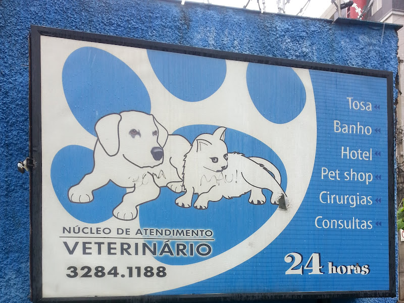 Foto 8 de Zoodonto Odontologia Veterinária