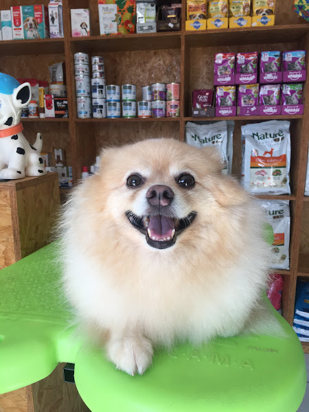 Foto 3 de ZooPatinhas